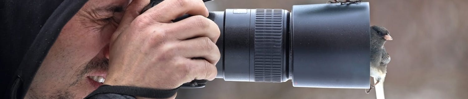 Fugle på kornet Fotograf med fugle på objektiv